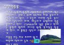 제주도의 관광자원 7페이지