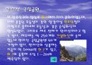제주도의 관광자원 8페이지
