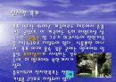 제주도의 관광자원 11페이지