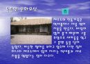 제주도의 관광자원 14페이지