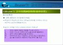 [교육심리] 교수이론, 교수의 이론 PPT자료 13페이지