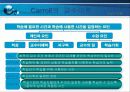 [교육심리] 교수이론, 교수의 이론 PPT자료 29페이지