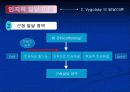[교육심리] 인지적 발달이론 PPT자료 21페이지