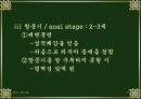 [교육심리] 정의적 발달 이론 PPT자료 6페이지