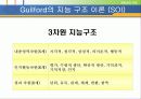 [교육심리] 지능이론에 대한 PPT자료 9페이지