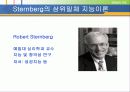 [교육심리] 지능이론에 대한 PPT자료 16페이지