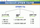 [교육심리] 지능이론에 대한 PPT자료 17페이지