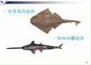 CFD, 외부유동에 따른 유동해석 5페이지