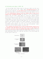 stem cell은 무엇인가? 10페이지