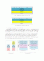 Mobile IP를 이용한 VOD Model 구현 10페이지