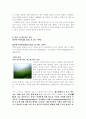 와인의종류와분류, 차의종류와 분류 5페이지
