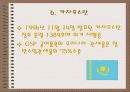 일반특혜관세제도 31페이지