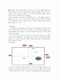 화이트 마케팅 전략 분석-SWOT, 5-force, STP, 4P분석 19페이지