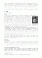 안락사의 모든 것 - 법 2페이지