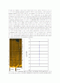 전기영동-SDS PAGE 4페이지