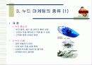 누드마케팅 7페이지