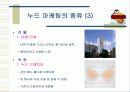누드마케팅 13페이지