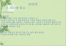 컴퓨터 전반에 걸친 인터넷 하드웨어 소프웨어 29페이지