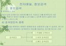 컴퓨터 전반에 걸친 인터넷 하드웨어 소프웨어 44페이지