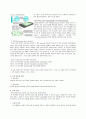 E.coli로부터의 plasmid의 분리 및 Restriction Digestion 4페이지