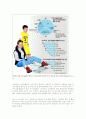 외국의 교육열 16페이지