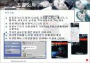 초콜릿폰의 성공사례 분석 11페이지