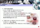초콜릿폰의 성공사례 분석 15페이지