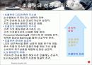 초콜릿폰의 성공사례 분석 26페이지