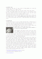 중국과 한국의 문화차이(젓가락문화, 교통수단, 핸드폰) 2페이지