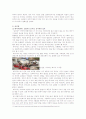 중국과 한국의 문화차이(젓가락문화, 교통수단, 핸드폰) 5페이지