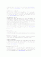 경기도의 FDI유치 정책 및 사례 5페이지