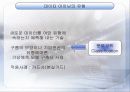 데이타 마이닝 11페이지