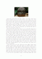 라틴아메리카의 건축 3페이지