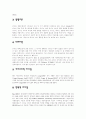 사회복지의 리더에 대하여 10페이지