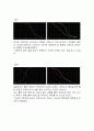 RC로 구성된 회로의 주파수 특성 측정 9페이지