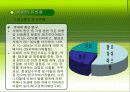 치매환자와 가족 12페이지