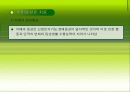 치매환자와 가족 34페이지