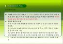 치매환자와 가족 42페이지