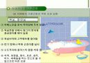 치매환자와 가족 94페이지