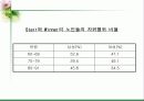 노인의 성 파워포인트 10페이지