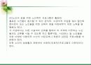 노인의 성 파워포인트 24페이지