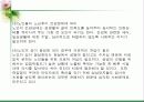 노인의 성 파워포인트 25페이지