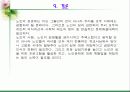 노인의 성 파워포인트 27페이지