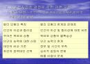사회복지정책의 결정 파워포인트 5페이지