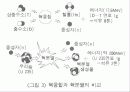 핵융합기술과 최근 발전현황 6페이지