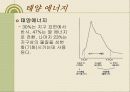 태양에너지 6페이지