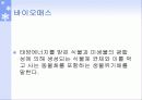 바이오에너지 3페이지
