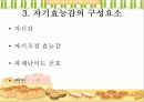 [심리학] 반두라의 사회학습이론 16페이지