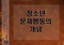 [교육사회학] 청소년의 문제행동 3페이지