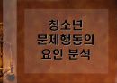 [교육사회학] 청소년의 문제행동 8페이지